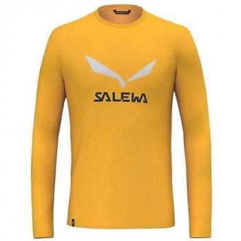 Camiseta de Manga Larga Hombre Salewa Solidlogo Dry'Ton