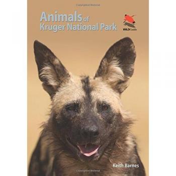 Kruger National Park Wildlife Figurines