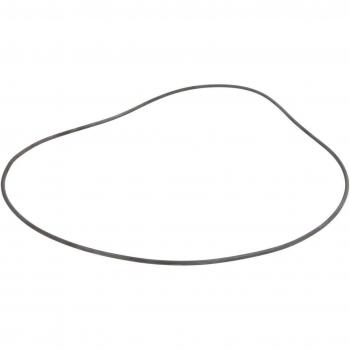 Anillo obturador y retén brida de caja de cambios Euroricambi 95532569