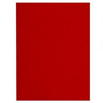 Exacompta Flash 220 - Paquete de 100 subcarpetas, 24 x 32 cm, color naranja