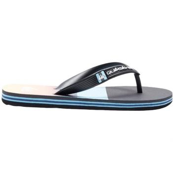 Chanclas QuikSilver Panel Youth Grey Orange