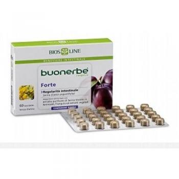 Buonerbe Regola Ft 30Tav