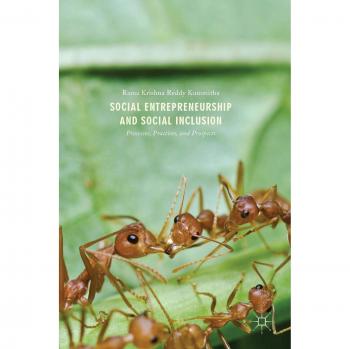 Social Entrepreneurship and Social Inclusion: Processes, Practices, and Prospects
