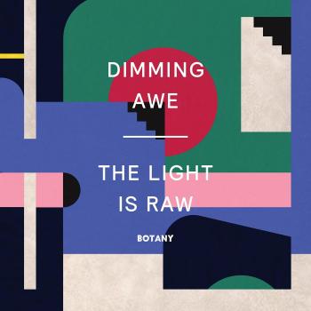 Dimming Awe: The Light Is Raw [VINYL] [Vinilo]