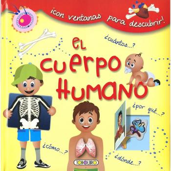 El cuerpo humano con ventanas 2