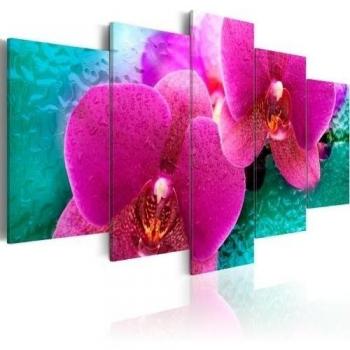 murando Cuadro en Lienzo Orquidea Flores 200x100 cm Impresión de 5 Piezas Material Tejido no Tejido Impresión Artística Imagen Gráfica Decoracion de Pared Naturaleza Abstracto 030110-22