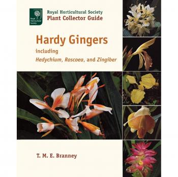 Hardy Gingers: Including Hedychium, Roscoea, and Zingiber