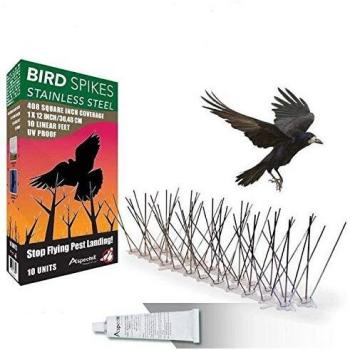 ASPECTEK - Pinchos para Pájaros Premontados De Acero Inoxidable, 10 pies
