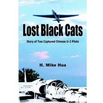 Lost Black Cats: A Guide to Finding Your Feline Friends by H. Mike Hua