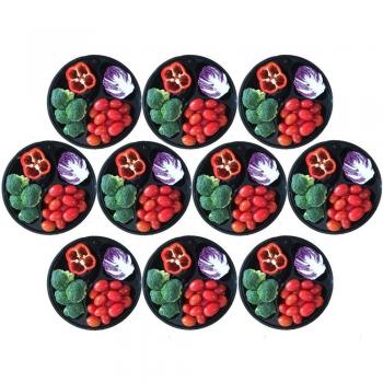Aestar 3-Compartment Bento Lunch Box With Lid, set of 10 by Aestar