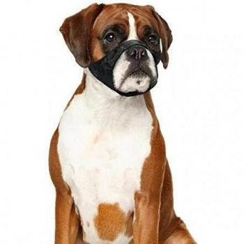 Bozal de Nylon DUVO para perros Boxer - Ajuste perfecto, seguridad garantizada, tamaño: Cuello 51-71 cm, Morro 32 cm, color Negro