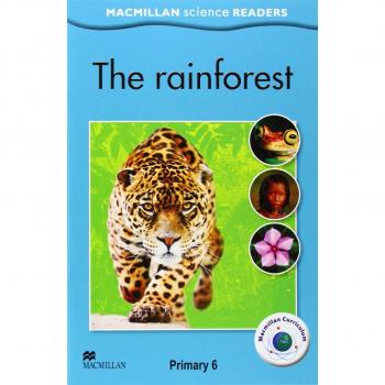 MSR 6 The Rainforest