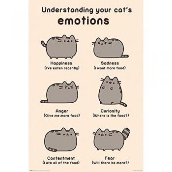 Pyramid International gatos emociones Pusheen Póster, plástico/vidrio, multicolor, 61 x 91,5 x 1,3 cm