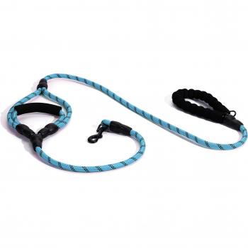 Correa para Perro Reflectante y Acolchada de 1.2*150CM Azul