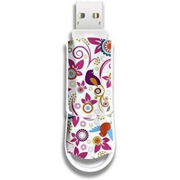 Pendrive Integral Xpression Birds - 64Gb - Usb 2.0 - Compatible Pc Y Mac