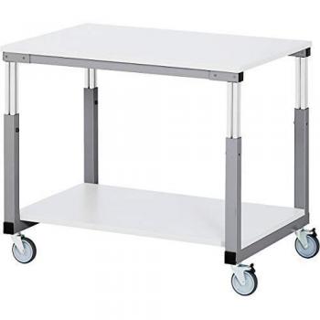 Puesto de trabajo modular RAU 603815, altura regulable manualmente de 650 a 1000 mm, mesa móvil con 4 ruedas giratorias, dimensiones 1000 x 700 mm