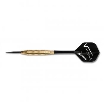 XQ MAX (Adultos Vincent Van Der Voort Brass Steel Dardos, Azul, 1