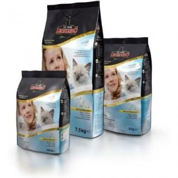 Leonardo Kitten pienso para gatos