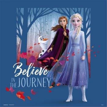 Lámina Disney Frozen Believe In The Journey 30x30cm