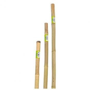 Varilla de Bambú Pesada 240 cm Diámetro 22-24 mm - Paquete de 50 Unidades para Soporte de Plantas y Divisiones Jardineras