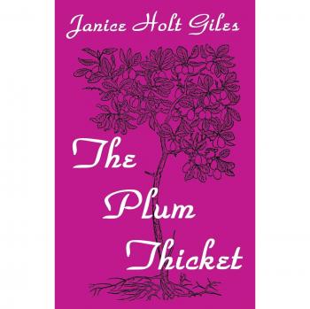 Plum Thicket: A Novel of Rural Life and Resilience