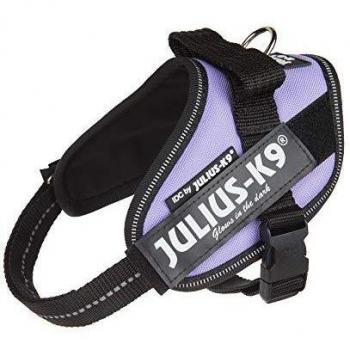 JULIUS-K9 16IDC Power Harness