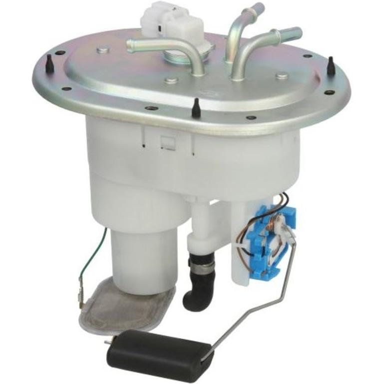 Imagen Principal