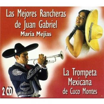 Las Mejores Rancheras De Juan Gabriel
