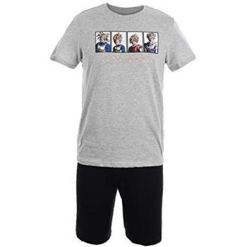 Suncity Pijama de Verano Adulto Gris Dragon Ball Z Talla S