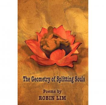 Splitting Souls Geometry Paperback by Robin Lim