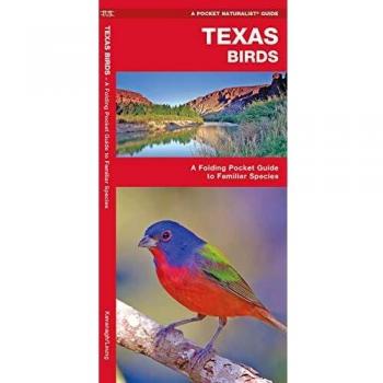 Texas Birds: A Folding Pocket Guide to Familiar Species