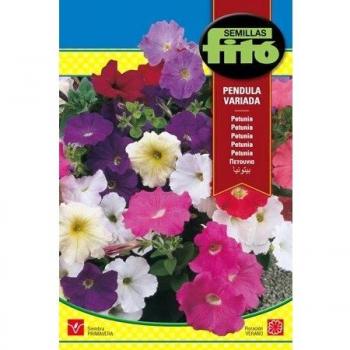 Semilla Petunia Péndula variada - Semillas Fitó