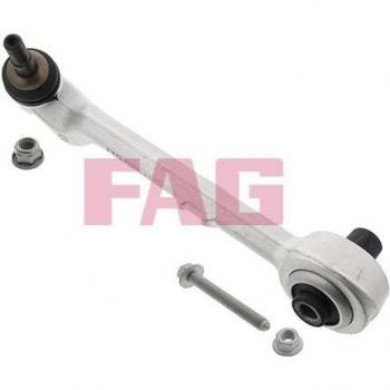FAG Barra Oscilante de Suspensión de Ruedas Control Arm 821 0599 10