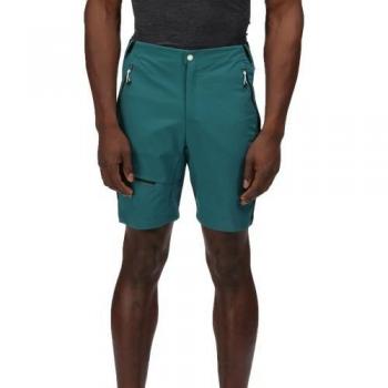 Pantalones Cortos Highton Pro para Hombre de Regatta - Pantalones cortos ligeros, impermeables, transpirables, con múltiples bolsillos y ajuste cómodo