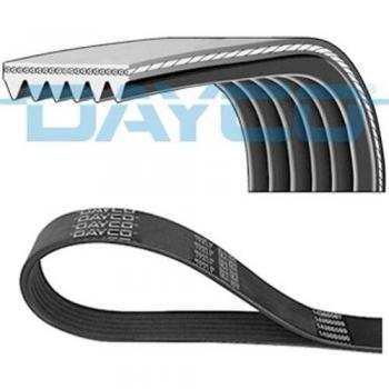 Correa acanalada en V DAYCO 6PK1020K, tipo de producto: Correa V-ribbed, características: longitud 1020 mm, perfil 6PK, fabricada por DAYCO