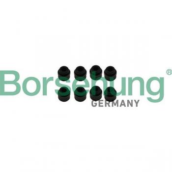 Retén de válvula Borsehung B19239 - Alta calidad y durabilidad