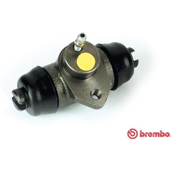 Imagen Principal