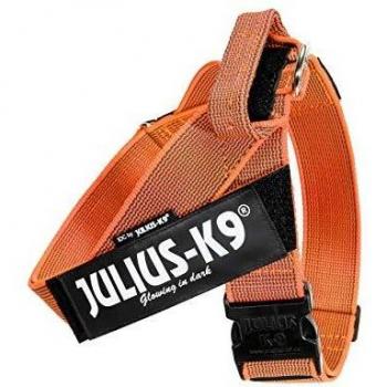Julius-K9 Color & Gray Arnés De Correa De IDC, Tamaño: 3, Color: Naranja-Gris