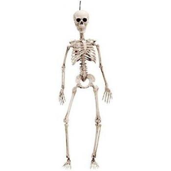 Desconocido My Other Me-203575 Esqueleto, 49 cm