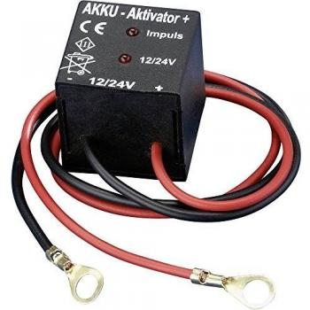 Activador de Baterías de Plomo 12/24 V IVT GMBH