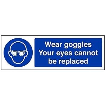 vsafety 41054 ax-rdesgaste gafas/sus ojos no se puede sustituir obligatorio EPI Sign, plástico rígido, paisaje, 300 mm x 100 mm, color azul