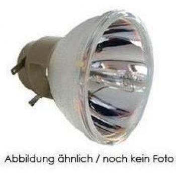 OPTOMA 5811100173 - Bombilla de recambio OSRAM - OPTOMA DM03, DW674, EW674N, EW677, EzPro 774, OP-X4000