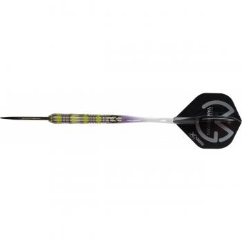 XQ Max (Adultos, Michael Van Gerwen Mighty Generación II Steel Dardos, Verde, 25 g
