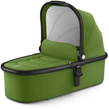Evostar 1 Capazo 2018 Cactus Green