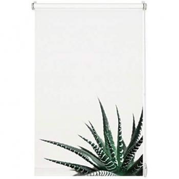 GARDINIA Easyfix - Estor (45 x 150 cm), diseño de Plantas suculentas