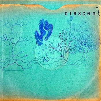 Resin Pockets [VINYL]