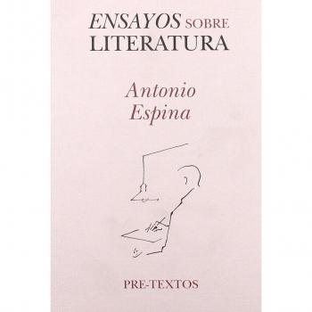 Ensayos sobre literatura
