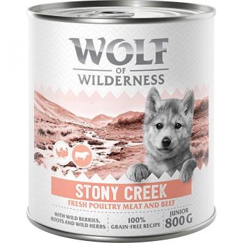 Wolf of Wilderness Expedition Junior 6 x 800 g - Stony Creek - Ave con vacuno