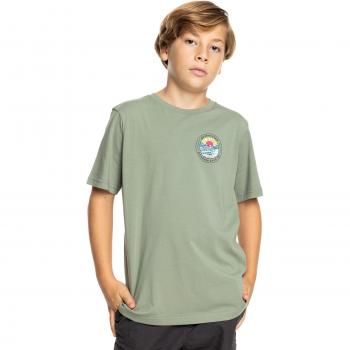 Camiseta de niños Quiksilver Lots Of Rights, manga corta, diseño gráfico, 100% algodón