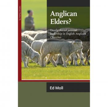 Liderazgo Pastoral Compartido en Iglesias Anglicanas: Estudio sobre Ancianos Anglicanos (Edición en Rústica)